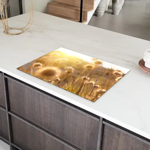 Zonovergoten Veldbloemen Inductie beschermer vinyl 3mm klein -sfeer8
