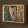 Vos - Oranje - Gras Light Box met batterij (Wandlamp kind) middel -z3d_website