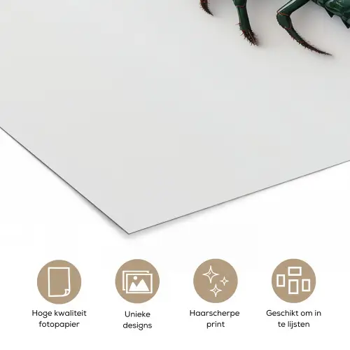 Kreeft - Glossier - Groen - Wit poster papier klein -closeup_NL