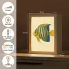 Felgeel - Vis - Strepen - Vinnen Light Box met kabel (Tafellamp) klein -USP_NL