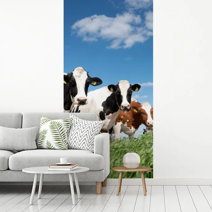 Koeien - Platteland - Weiland - Natuur - Dieren fotobehang vinyl groot -woonkamer