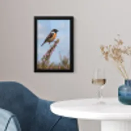 Roodborsttapuit - Heide - Paars - Natuur - Sfeervol fotolijst zwart zonder passe partout klein -sfeer4