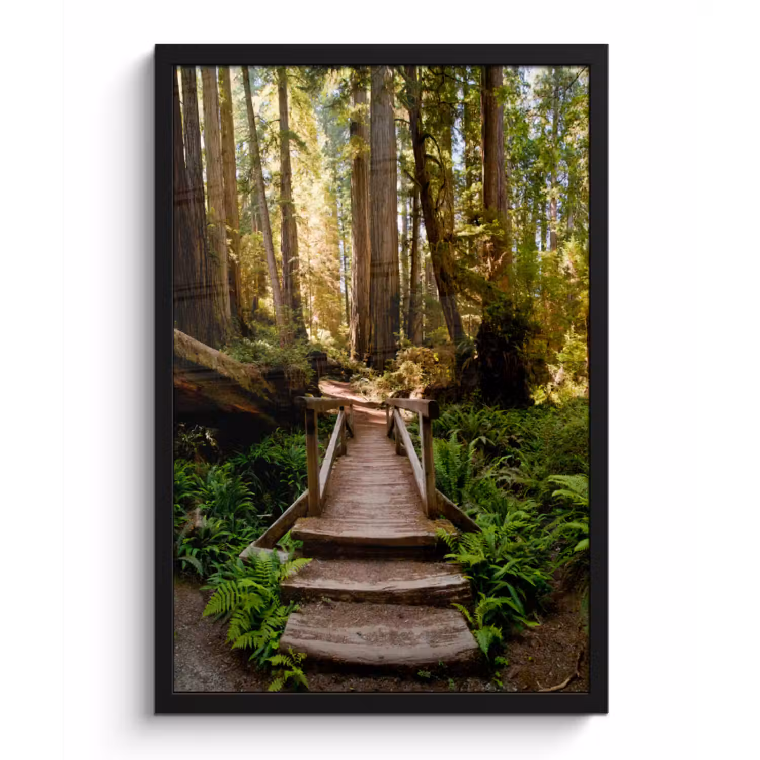 Poster met lijst - Jungle - Natuur - Trap - Bomen