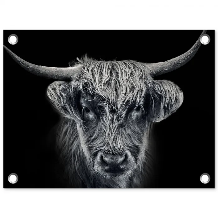 Schotse hooglander - Zwart - Koe - Dieren tuinposter los doek klein -3d