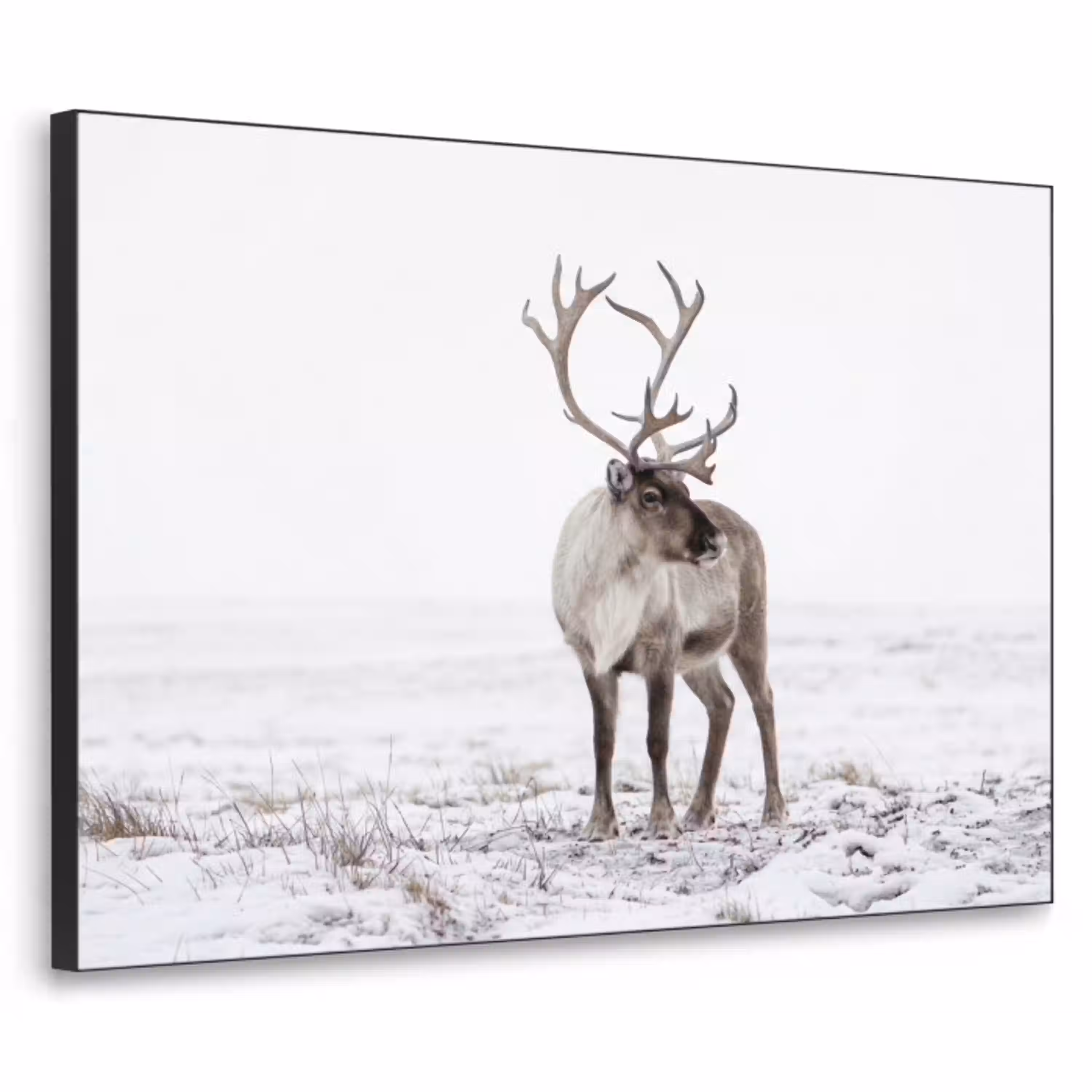 Rendier - Gewei - Sneeuw - Winter Textielframe zwart klein -3d
