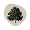 Eikenboom - Schaduw - Egaal Wandcirkel Organisch Forex 3mm klein -3d