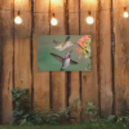 Kolibries bij Bloemen tuinposter los doek klein -sfeer1