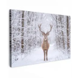 Hert - Winter - Bos - Natuur - Wit canvas 2cm klein -z3d