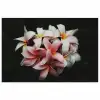 Bloemen - Roze - Zwart - Flora - Botanisch poster papier klein -3d