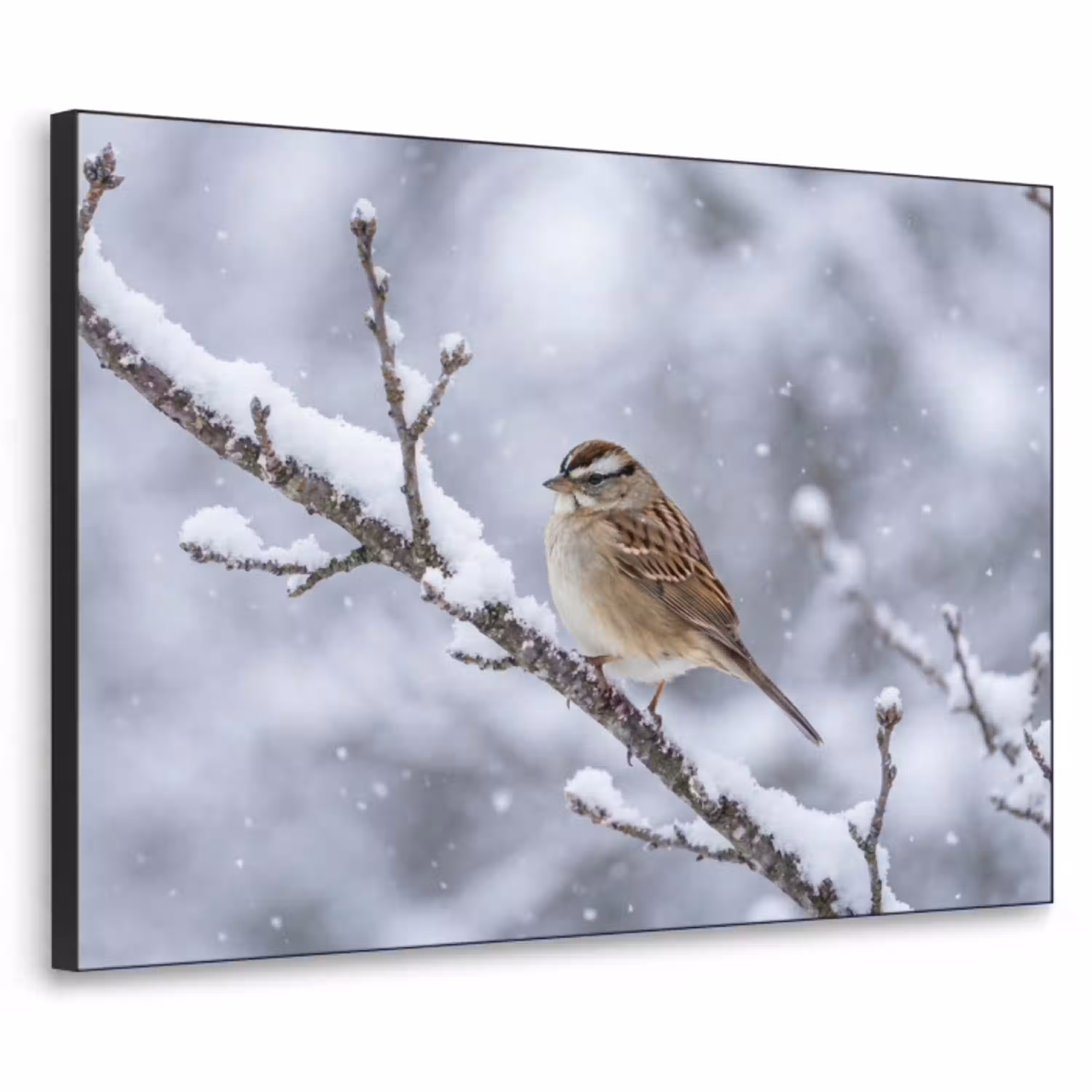 Vogel - Tak - Sneeuw - Winter Textielframe zwart klein -3d