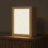 Patroon - Bloemen - Beige Light Box met kabel (Tafellamp) klein 925 -z3d_website