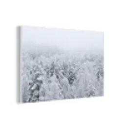 Bos - Sneeuw - Winter - Natuur - Wit forex 5mm xxl -3d