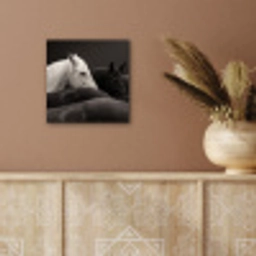 Paarden - Zwart - Wit - Kudde aluminium wit klein -sfeer4