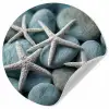 Zeesterren - Stenen - Wit Wandcirkel behangsticker klein -3d