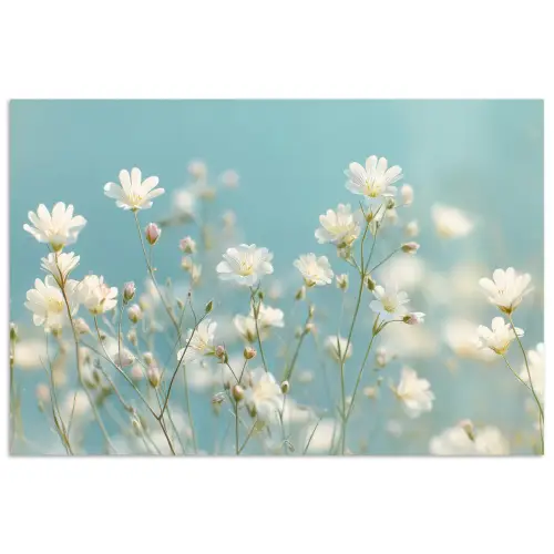 Stengels - Bloemen - Lucht - Wit poster papier klein -3d