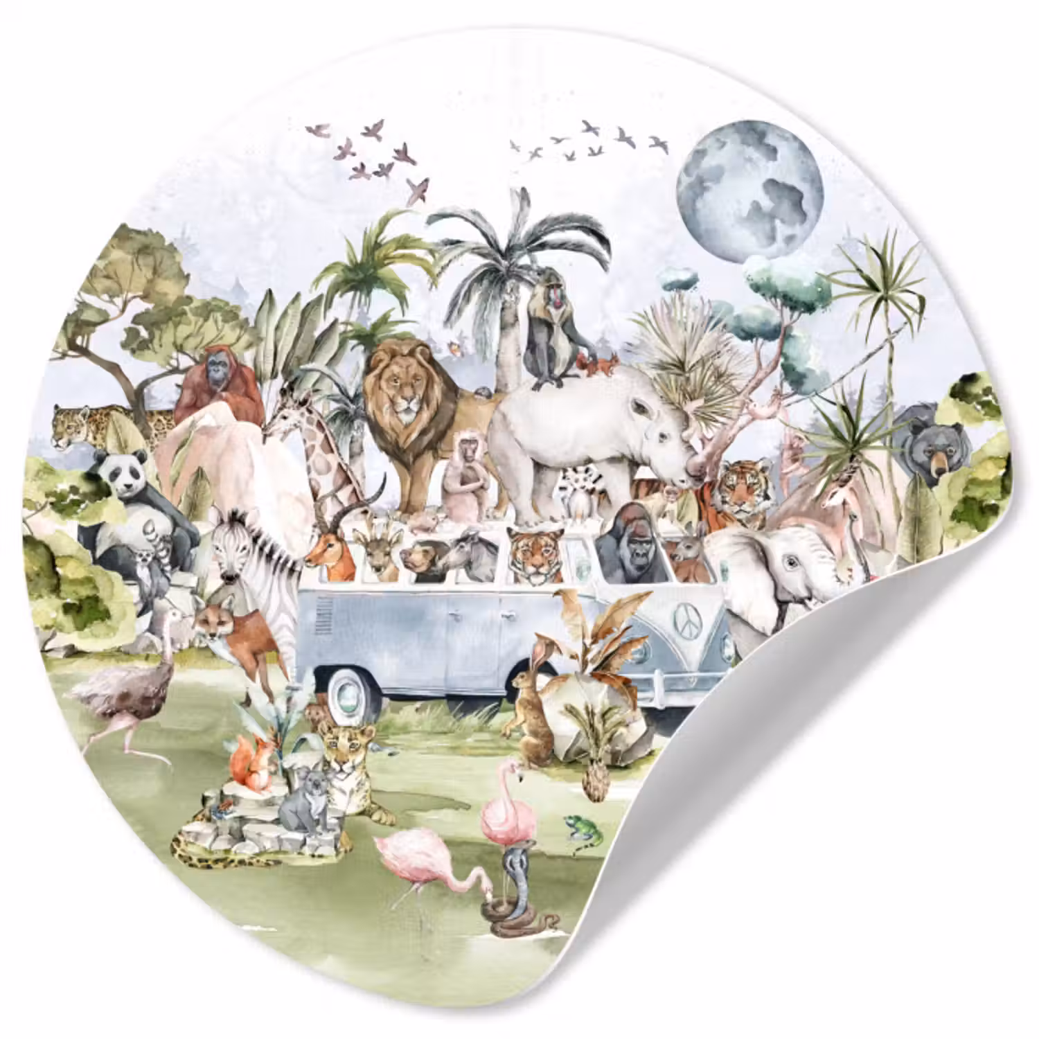 Behangcirkel - Jungle - Bus - Dieren - Kinderen - Planten