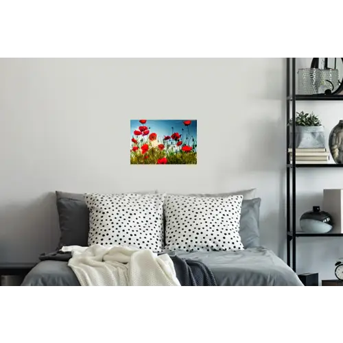 Klaprozen - Toscane - Zon - Rood - Blauw Muursticker klein -slaapkamer