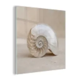 Schelp - Spiraal - Beige plexiglas 5mm klein -z3d