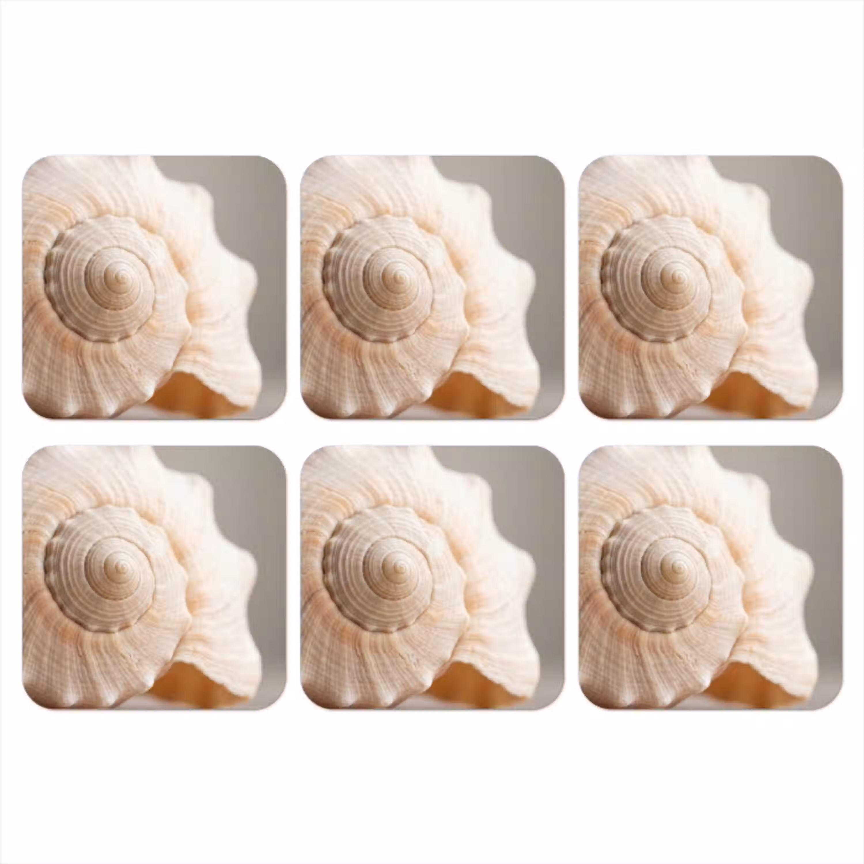 Schelp - Detail - Beige onderzetter kurk middel -3d