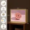 Grapefruit - Roze - Disco - Shiny Light Box met batterij (Wandlamp) middel -USP_websiteoverzichtNL