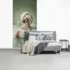 Hond - Bad - Champagne - Handdoek fotobehang vinyl groot -slaapkamer