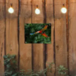 Kleurrijke papegaai is aan het vliegen tuinposter los doek klein -sfeer1