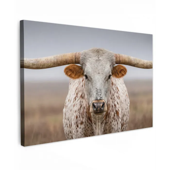 Longhorn - Grasveld - Dier Tuinposter op houten frame 2 cm dik klein -3d