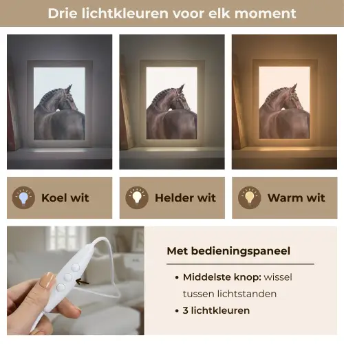 Portret - Paard - Elegant Light Box met kabel (Tafellamp) klein -USP_lichtkleurNL