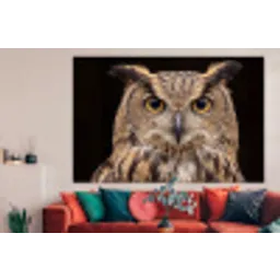 Oehoe - Uil - Portret - Bruin forex 5mm xxl -woonkamer