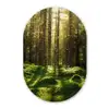Bomen - Bos - Mos - Planten - Zon - Natuur Wandcirkel Ovaal Forex klein -3d