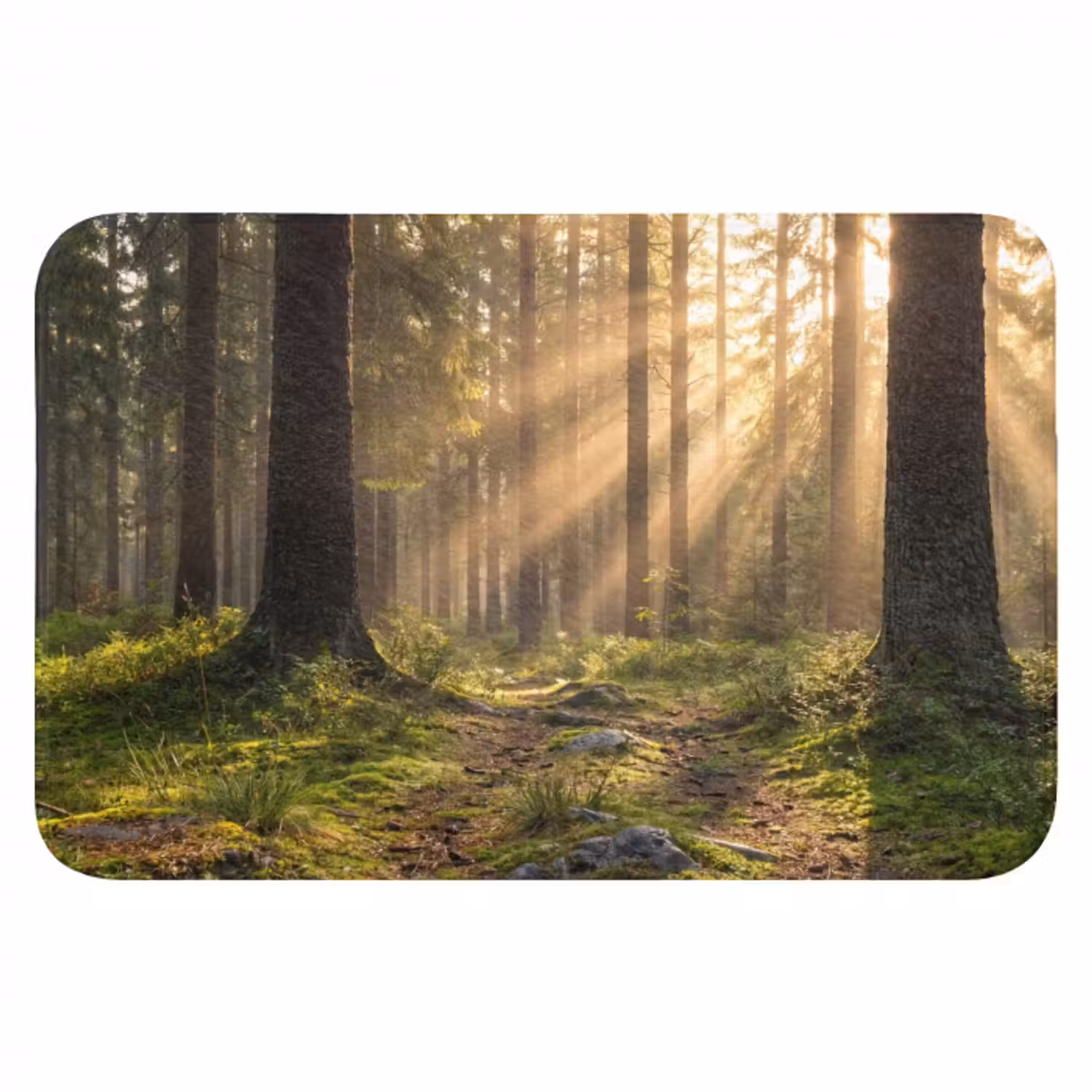 Badematte - Wald - Sonnenlicht - Gras