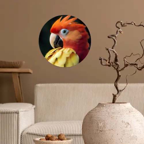 Close-up - Papegaai - Veren - Oranje Wandcirkel behangsticker klein -sfeer1