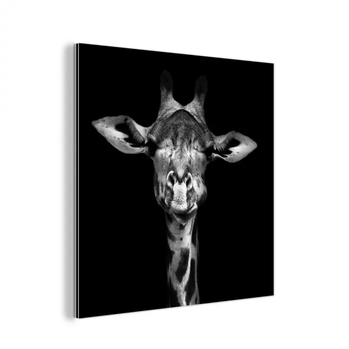 Giraffe - Portret - Dieren - Zwart - Wit aluminium wit klein -3d