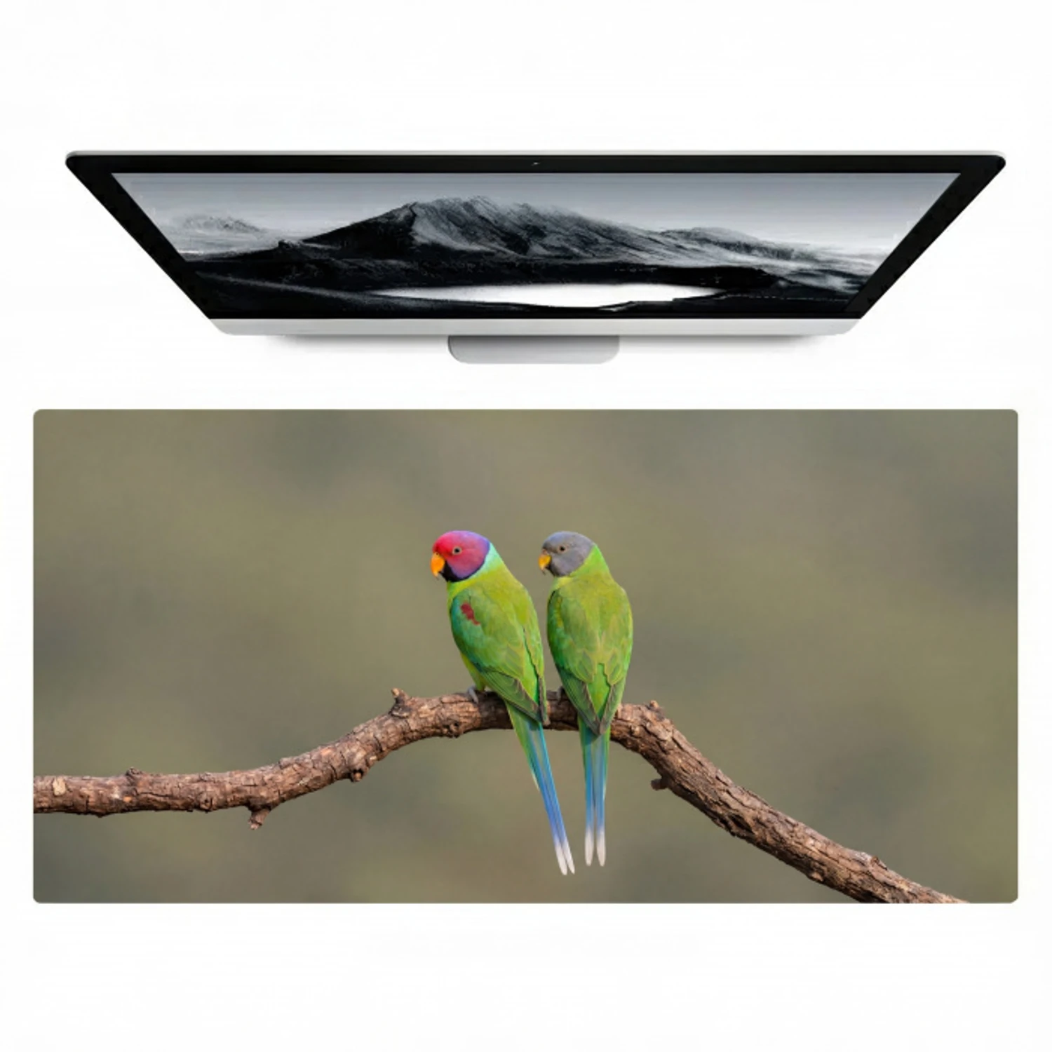 Papagaai - Tak - Natuur - Kleurrijk Muismat XXL klein -zzz3d
