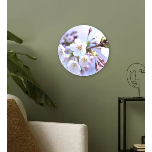 Bloemen - Sakura - Tak - Bloesem takken Wandcirkel kunststof plaat 5mm dik klein -sfeer3