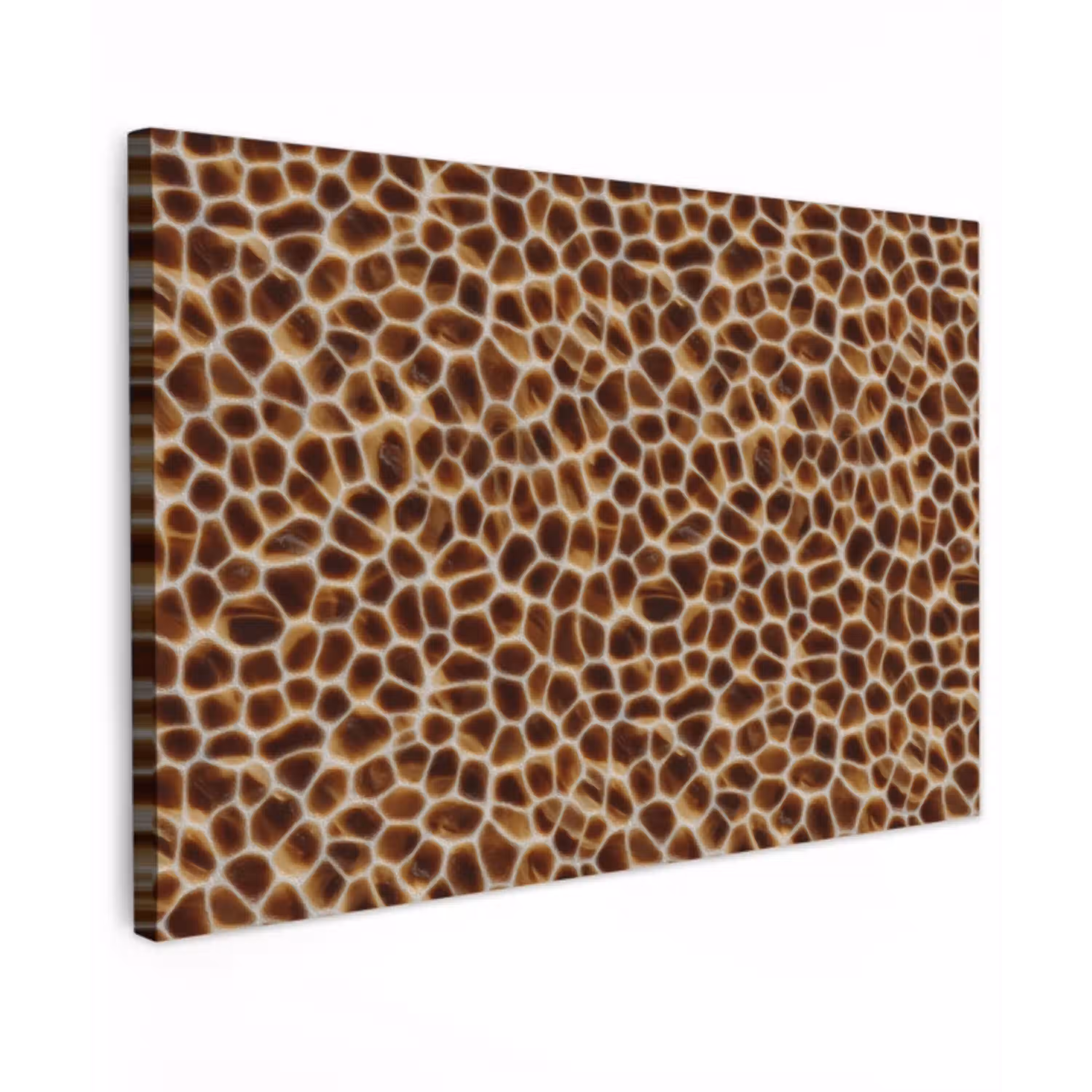 Schildpad - Bruin - Patroon Tuinposter op houten frame 2 cm dik klein 845 -3d