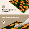 Mandarijn - Oranje - Druppels - Groen Inductie beschemer met haakjes klein 777 -ky-schoon-nl