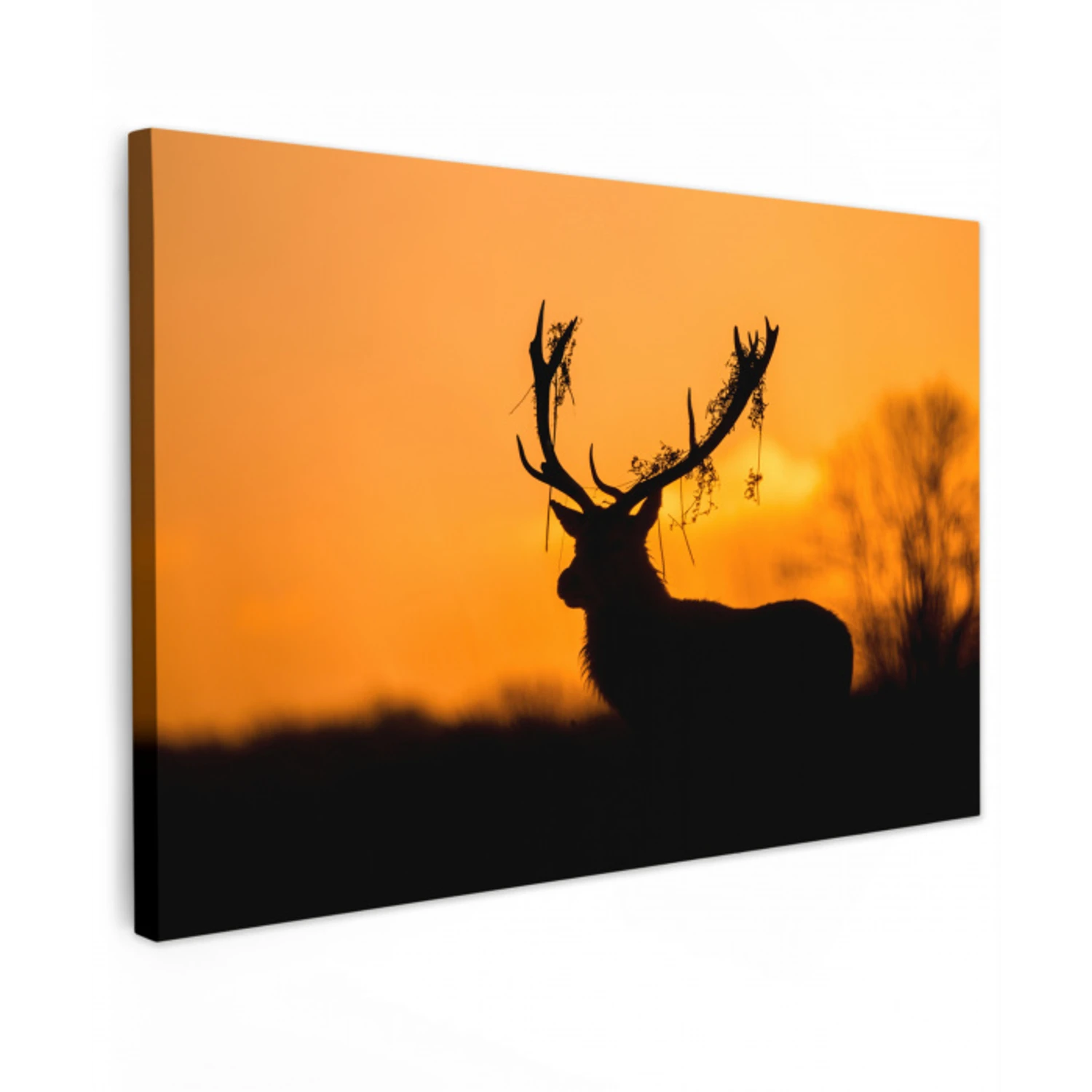 Hert - Oranje - Silhouet - Dieren - Natuur canvas 2cm klein -z3d