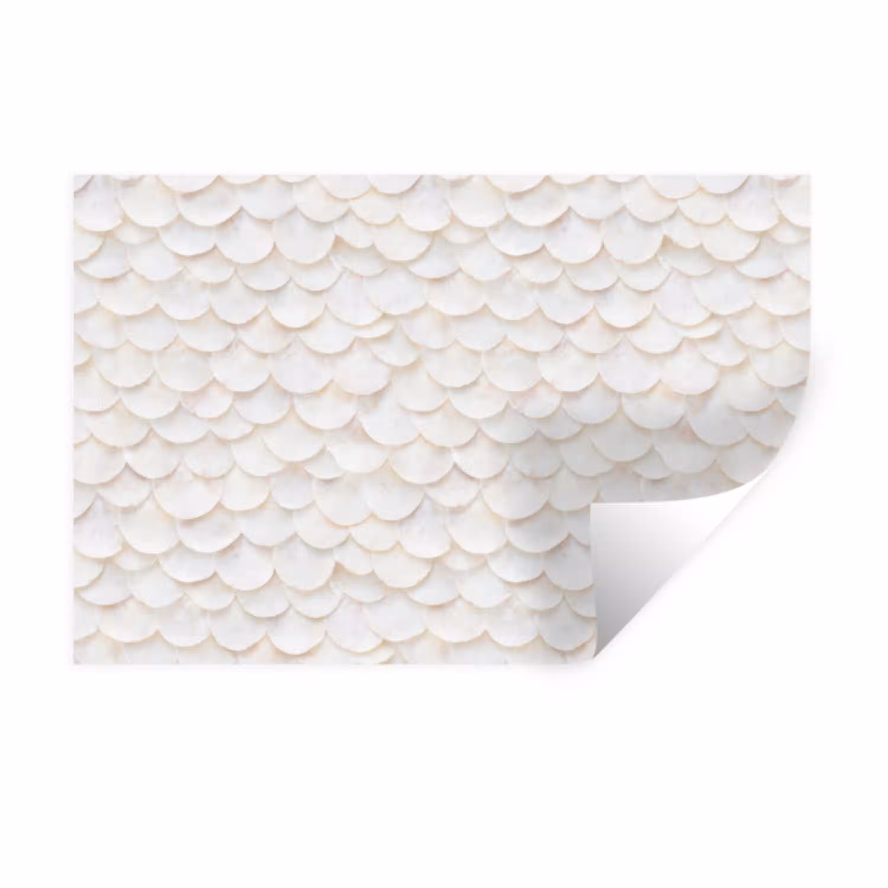 Schubben - Wit - Elegant Muursticker klein 286 -3d