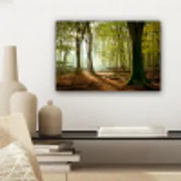 Bos - Zon - Seizoenen - Landschap canvas 2cm klein -sfeer6