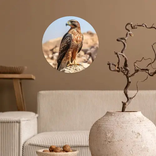 Valk - Vogel - Rots - Macht Wandcirkel behangsticker klein -sfeer1