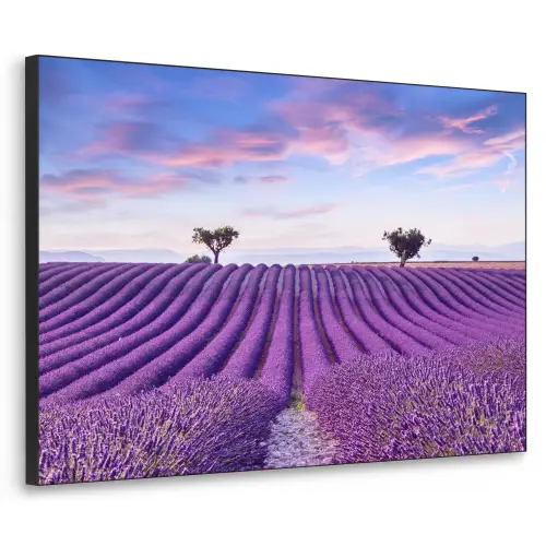 Lavendel - Natuur - Paars - Bomen - Bloemen Textielframe zwart klein -3d