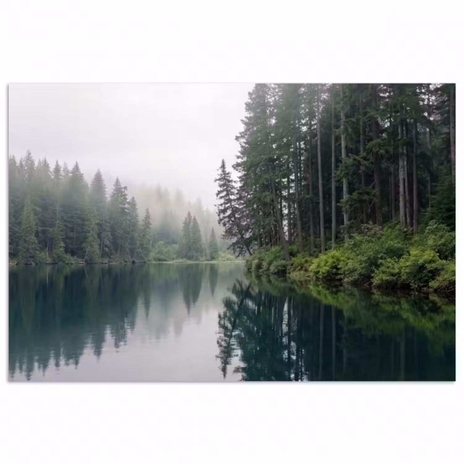 Poster - Berge - See - Wald