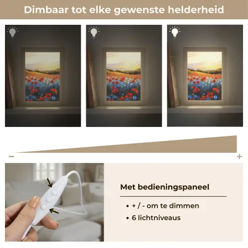 Klaproos - Bloemenveld - Kleurrijk Light Box met kabel (Tafellamp) klein -USP_dimbaarNL