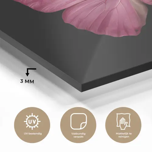 Vlinder - roze - Elegant plexiglas 5mm klein -sfeer2