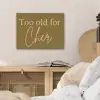 Groen - Too old for cher - Roze PET vilt klein -sfeer3