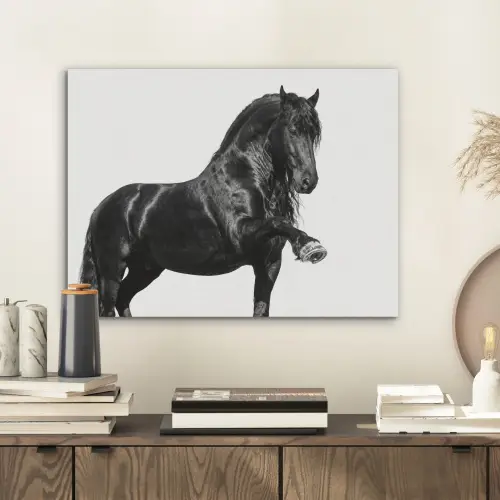Fries - Hengst - Modern PET vilt klein -sfeer1
