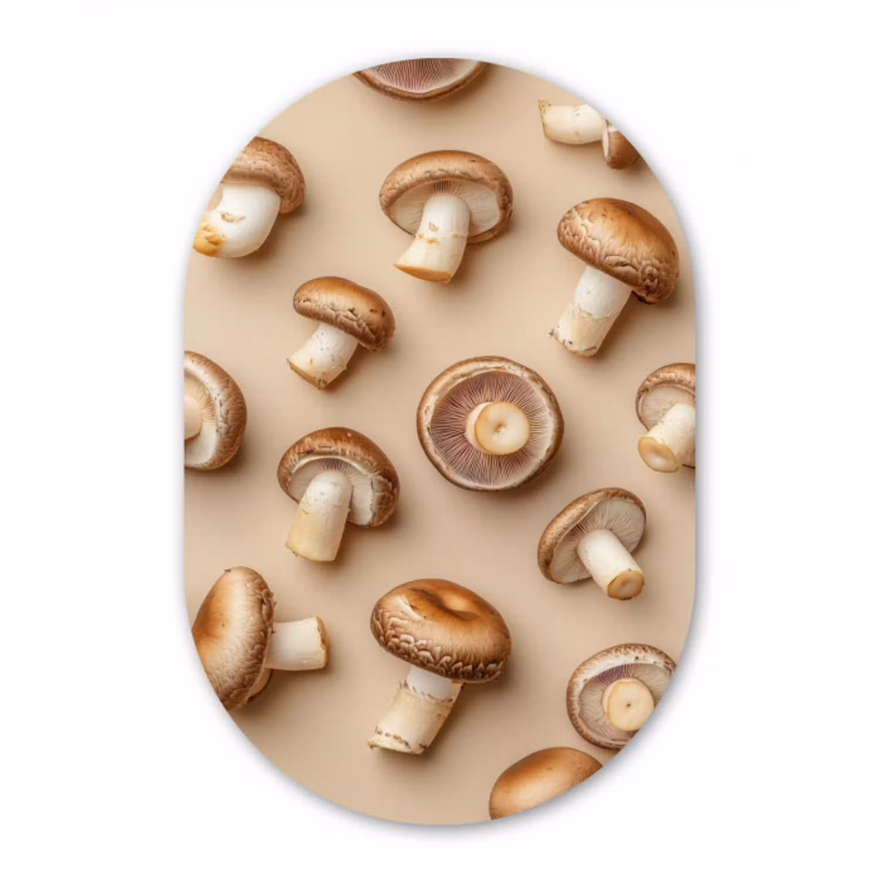 Kastanje Champignons - Beige Wandcirkel Ovaal Aluminium middel -3d