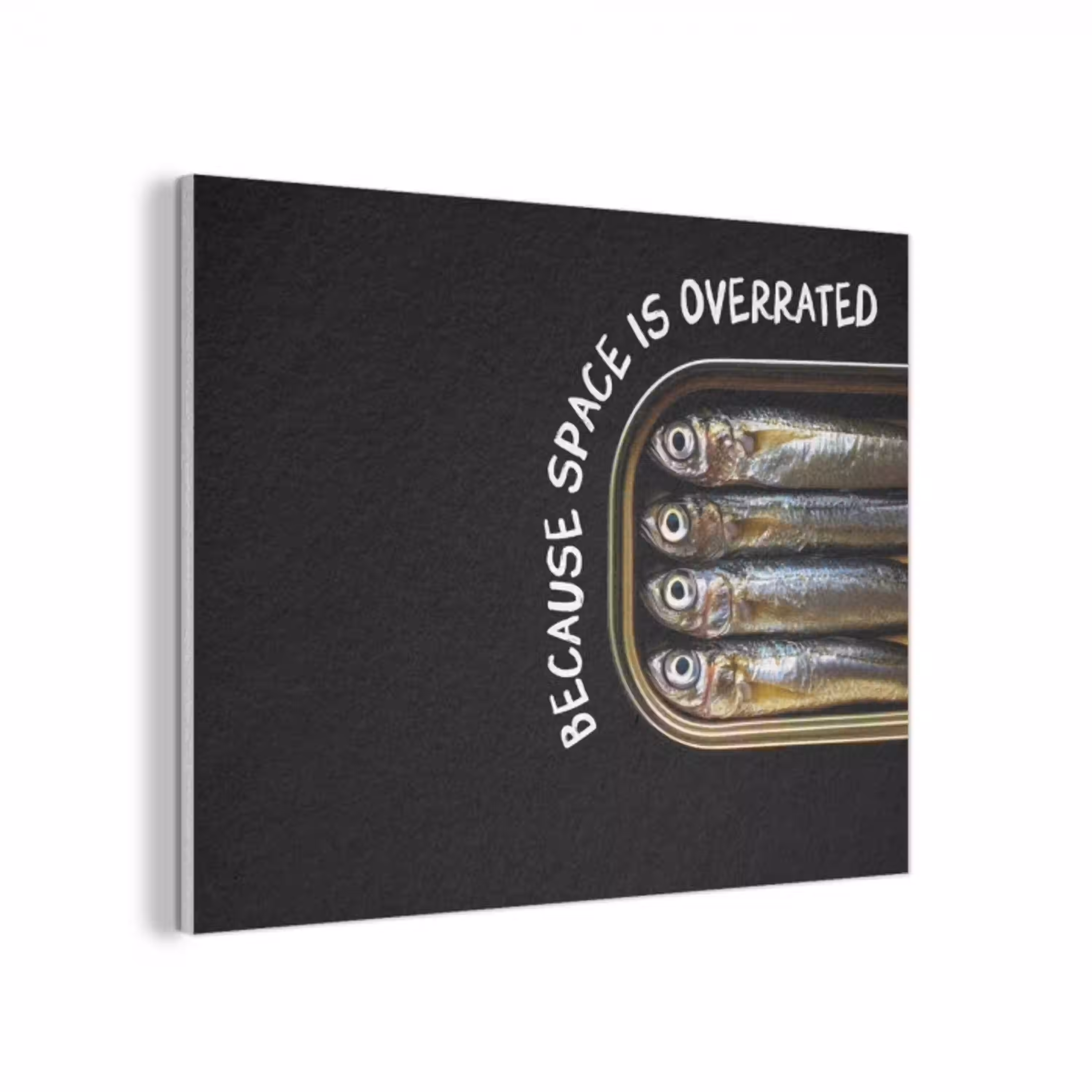Sardines - Tekst - Vis - Blik PET vilt klein -3d