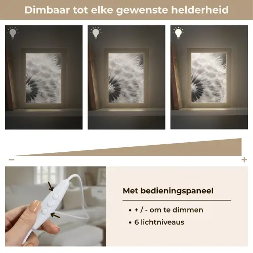 Paardenbloem - Zwart - Wit Light Box met kabel (Tafellamp) klein -USP_dimbaarNL